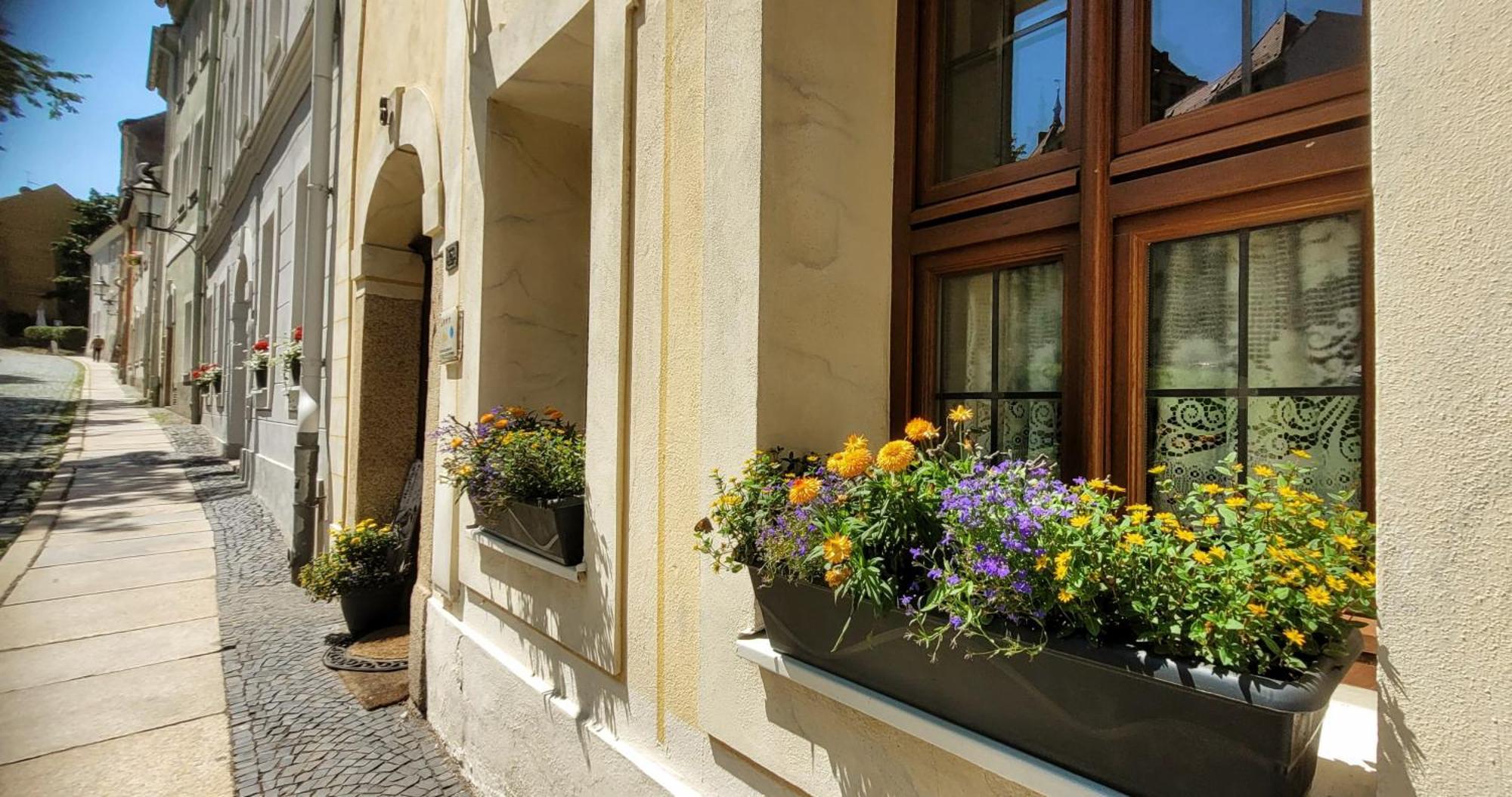 Altstadtdomizil Morgenroete Gorlitz Exterior photo